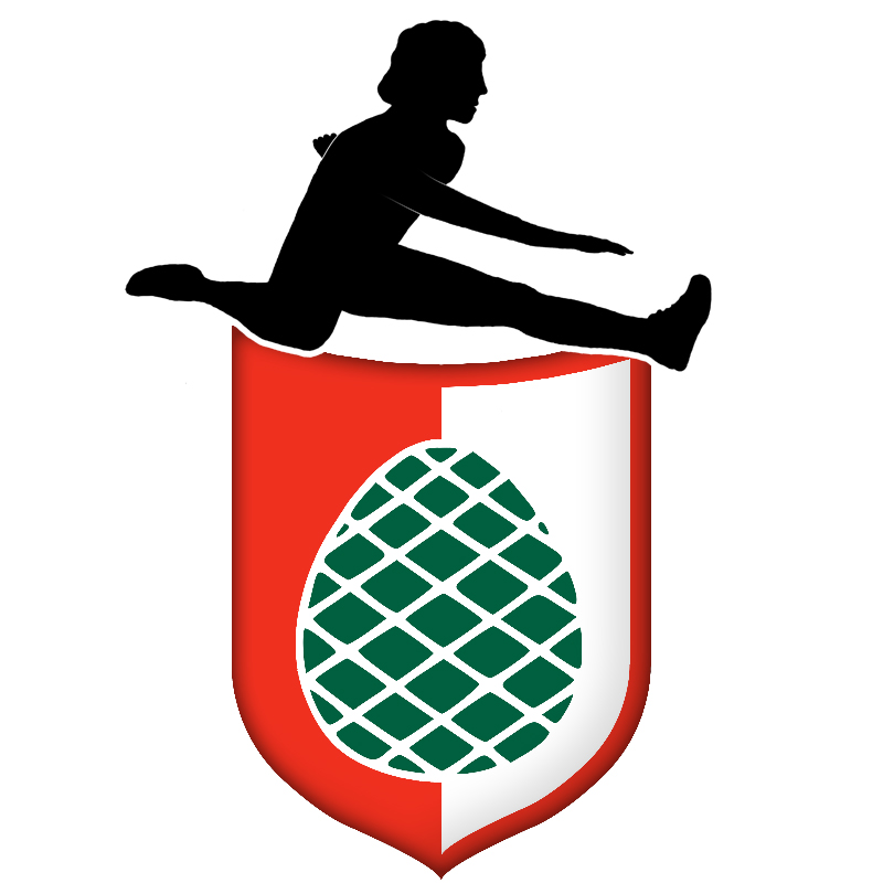 Logo LG Augsburg